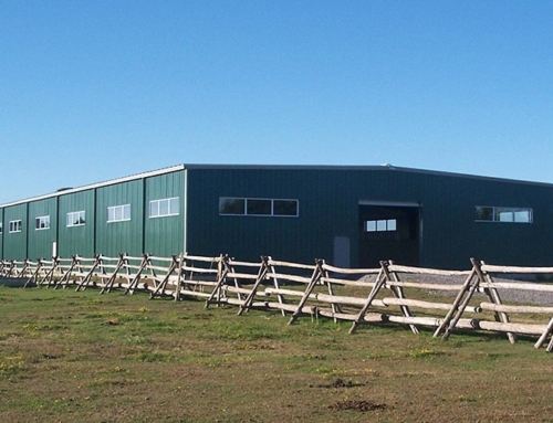 A Guide to Designing Your Horse Barn Kit in Canada