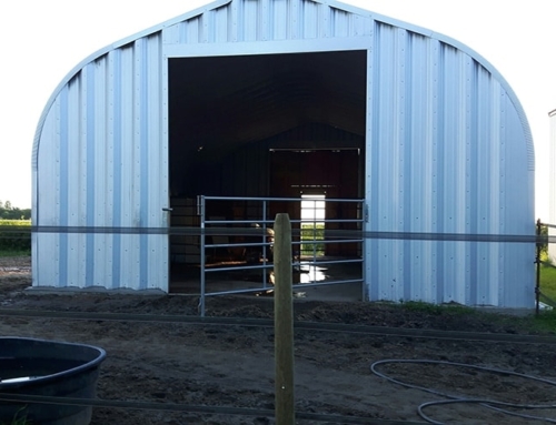 Steel Farm Buildings vs Wooden Buildings: Combating Mold & Fungus