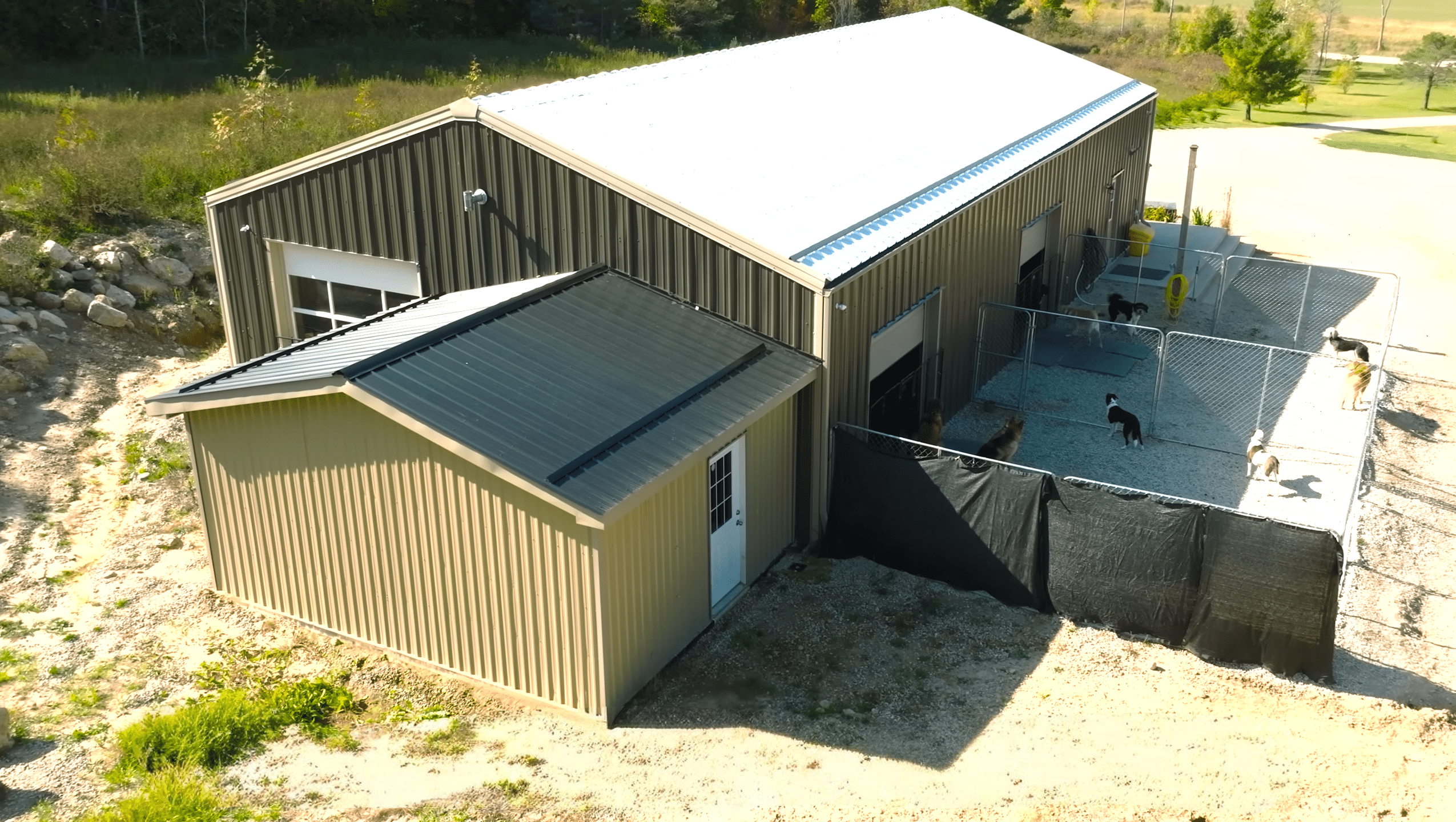 Metal dog kennel review